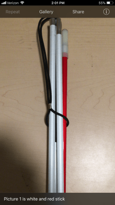 This image has an empty alt attribute; its file name is cane-tn-1.png