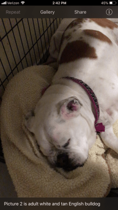 This image has an empty alt attribute; its file name is daisy-tn-2.png